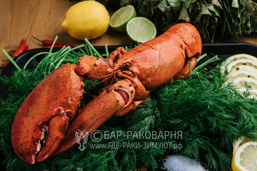 Раки в Лоо