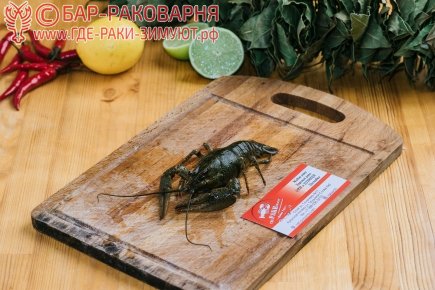 ДОСТАВКА РАКОВ НА КРАСНУЮ ПОЛЯНУ