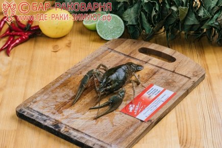 ДОСТАВКА РАКОВ НА КРАСНУЮ ПОЛЯНУ