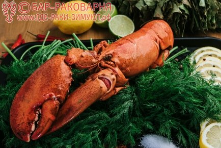 Крабы, лобстеры