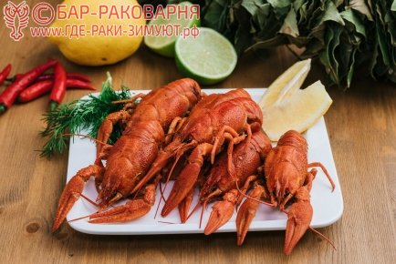 Раки оптом в Сочи